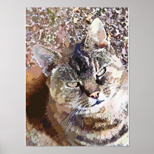 POSTER CHAT TIGRÉ