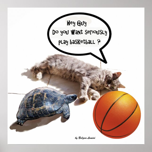 POSTER CHAT, TORTUE ET BASKETBALL (Devant)