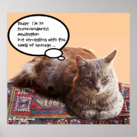 CHAT TURC EN MÉDITATION TRANSCENDANTALE