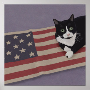 Poster Chat USA
