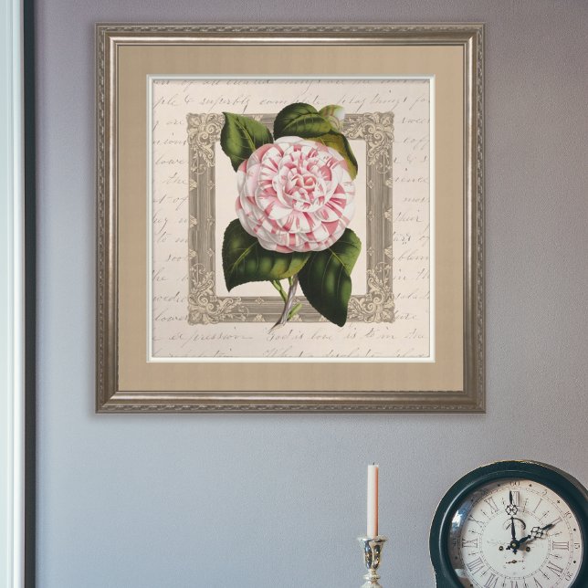 Poster Chateau Chic Botanique Vintage Camellia (Créateur téléchargé)