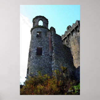 Poster Château de Blarney, Irlande