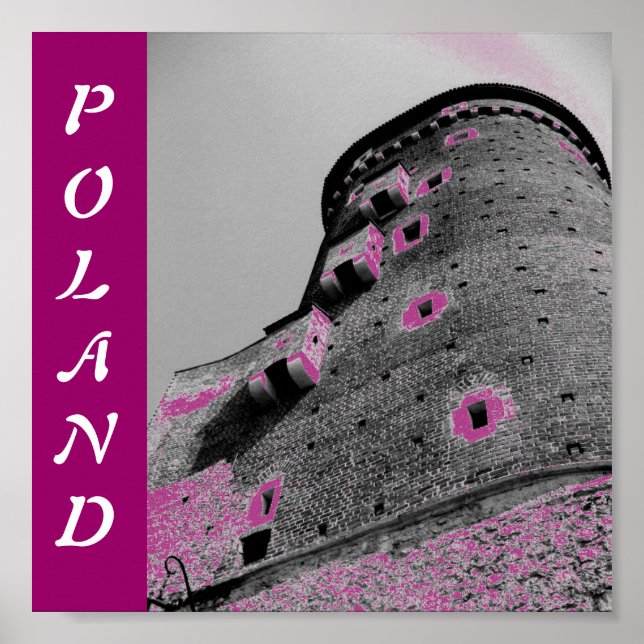 Poster Château de Pologne (Devant)