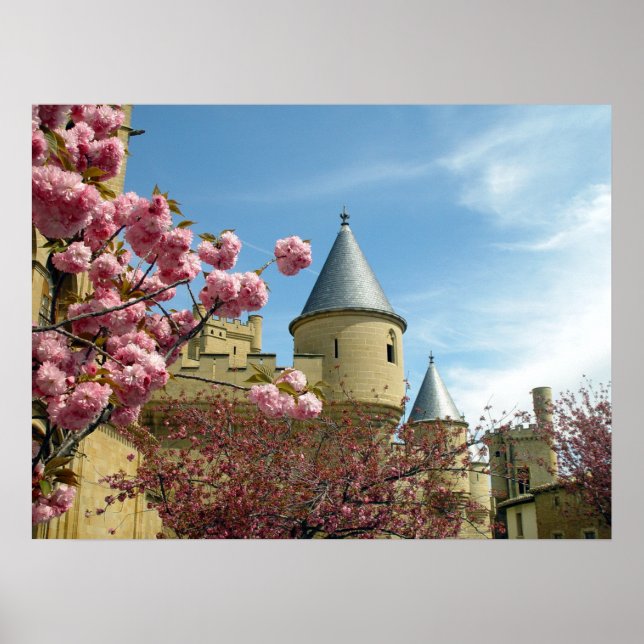 Poster Château et fleurs (Devant)