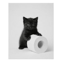 Chaton noir bébé gardant un rouleau de papier toil