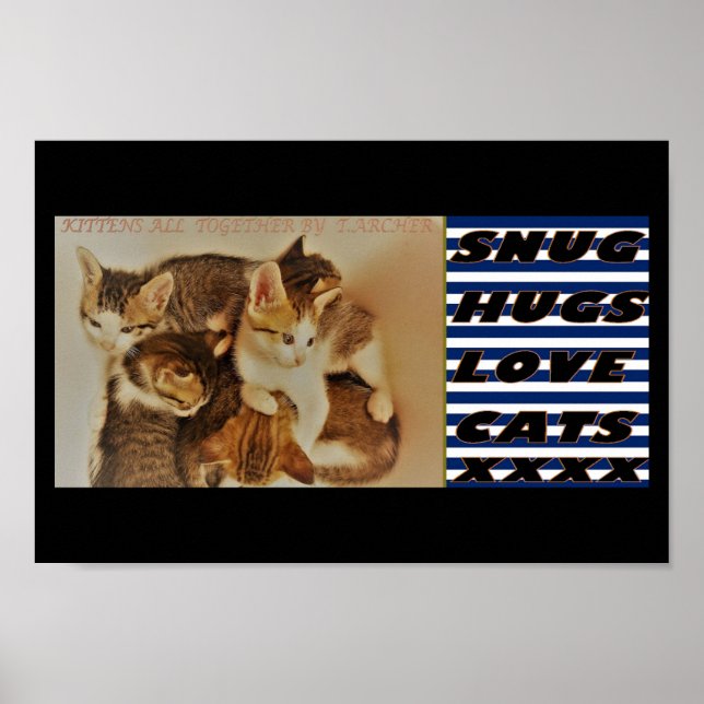 Poster Chatons dans la photo de repos original (Devant)