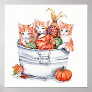 Poster Chatons de récolte