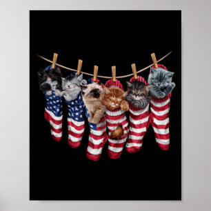 Poster Chatons patriotiques dans des chaussettes de drape