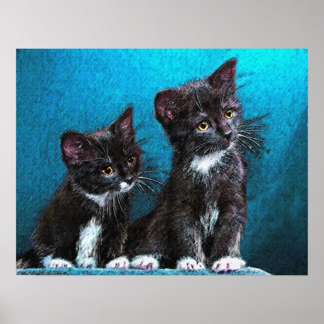 Poster chatons tuxedo (Devant)