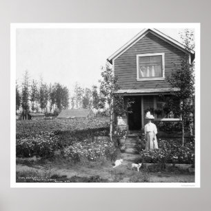 Poster Chats à la maison Fairbanks Alaska 1916