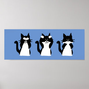 Poster Chats blancs noirs Trois chatons