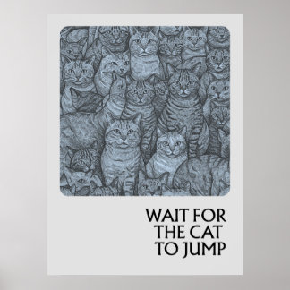 Poster Chats bondés - proverbes