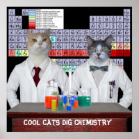 Chats cool Chimie de la fouille