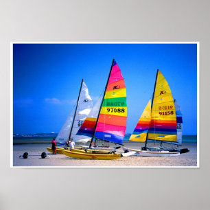 POSTER CHATS DE HOBIE AU JERSEY