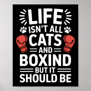 Poster Chats Et Boxe Drôle Boxe