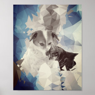 Poster Chats et chien amoureux