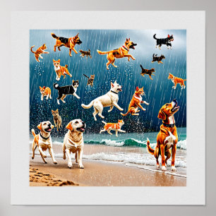 Poster Chats Et Chiens Qui Pleurent