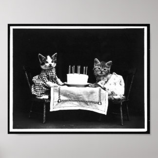 Poster Chats et gâteau d'anniversaire Antique photo