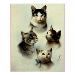 Poster Chats mignons