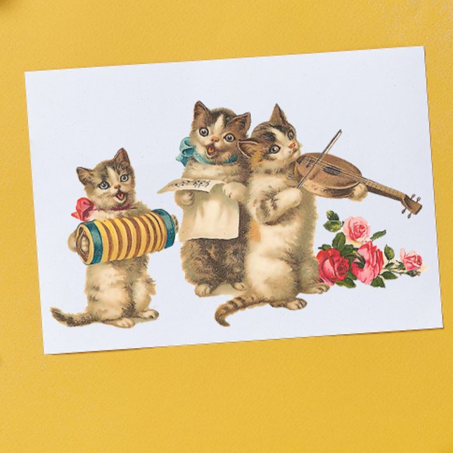 Poster Chats musicaux (Créateur téléchargé)