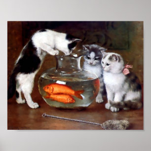 Poster Chats pêchant dans la cuvette de poisson rouge
