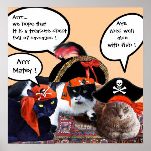 POSTER CHATS PIRATES