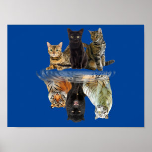 Poster Chats Réflexion Ami Amoureux de les chats Tigre mo