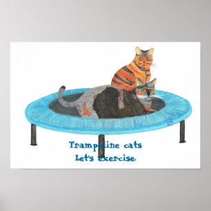 Poster Chats sur mini trampoline, faisons de l'exercice A