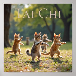 Poster Chats Tai Chi