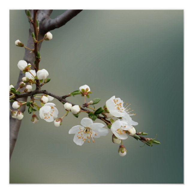 Poster chaud (Devant)
