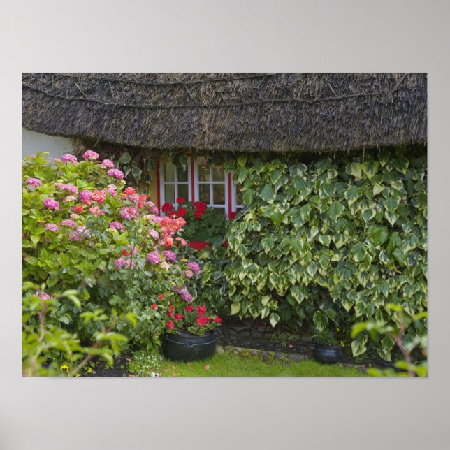 Poster Chaumière, Adare, comté de Limerick, (Devant)