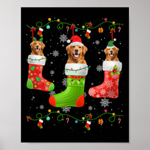 Poster Chaussettes de Noël Golden Retriever Chien Lumière