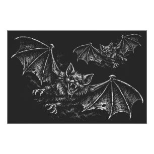 Poster Chauve-souris plongeante - par BurnsInHell