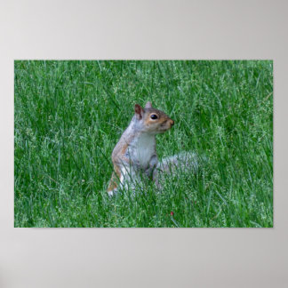 Poster Checking it Out