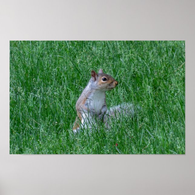 Poster Checking it Out (Devant)