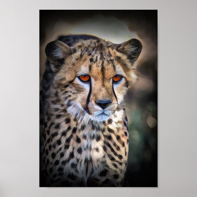 Poster Cheetah (Devant)