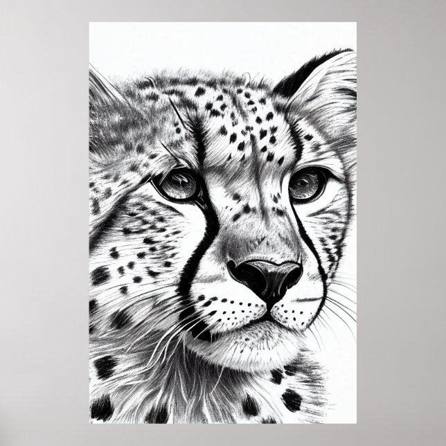 Poster Cheetah Animal Wild Nature Illustration Line Epic (Devant)