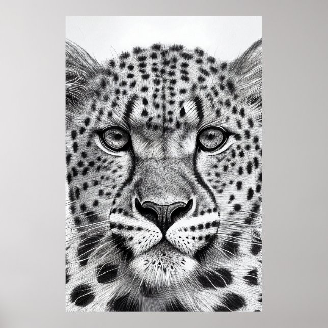Poster Cheetah Animal Wild Nature Illustration Line Epic (Devant)