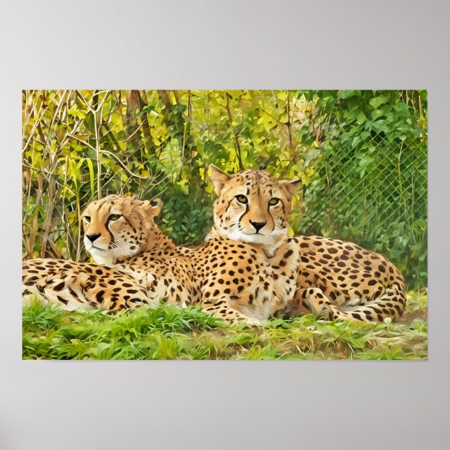 Poster Cheetah Companions - Repos dans la nature" (Devant)