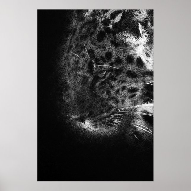Poster cheetah face gros plan d'art décoratif (Devant)