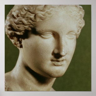 Poster Chef d'Artemis