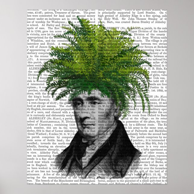 Poster Chef du Plante de Fern Head (Devant)