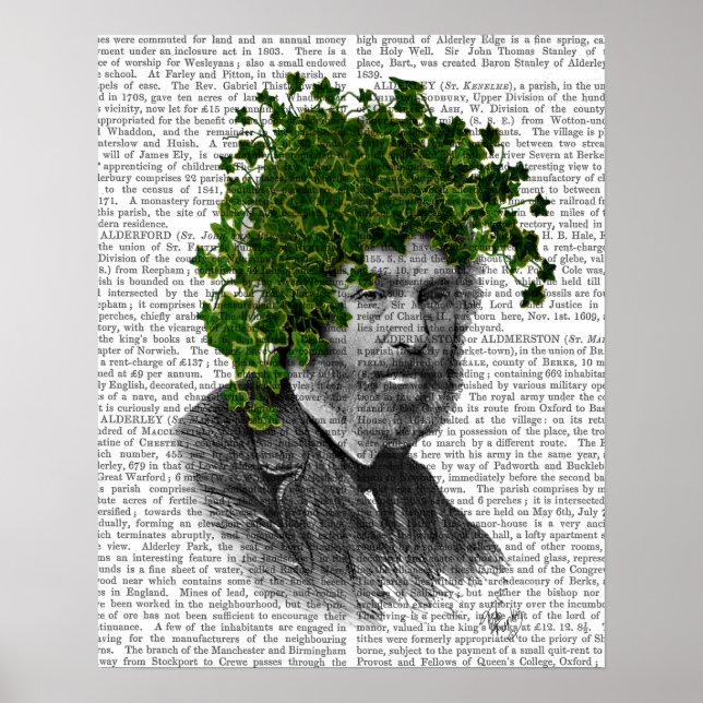 Poster Chef du Plante Ivy Head (Devant)