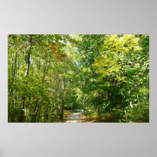 Poster Chemin boisé centenaire I Ellicott City Nature