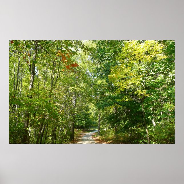 Poster Chemin boisé centenaire I Ellicott City Nature (Devant)