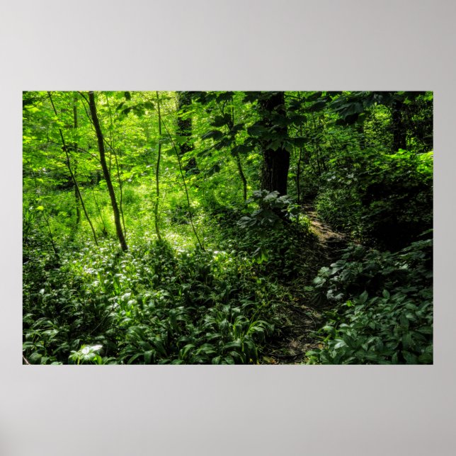 Poster Chemin dans la forêt (Devant)