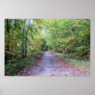 Poster Chemin dans la forêt automnale, Forêt de Saint Ger