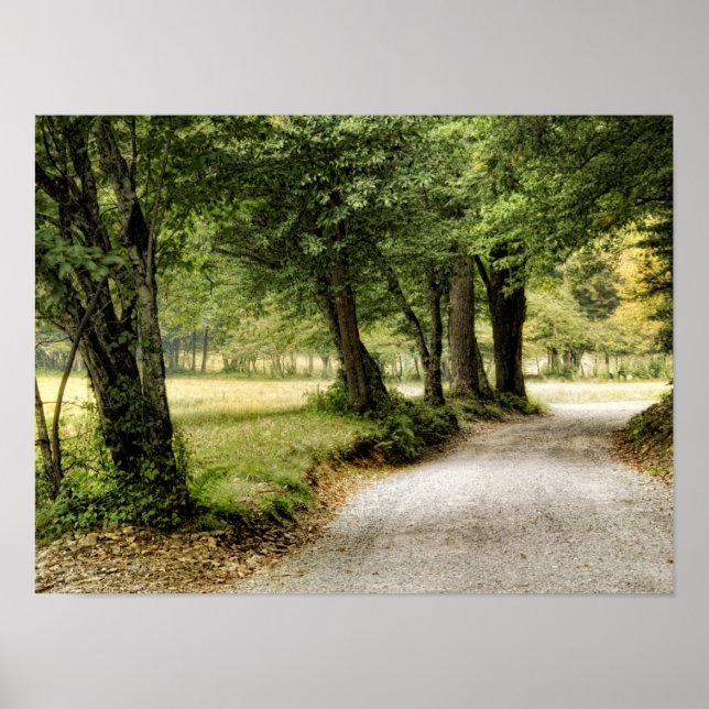 Poster Chemin dans le pays (Devant)