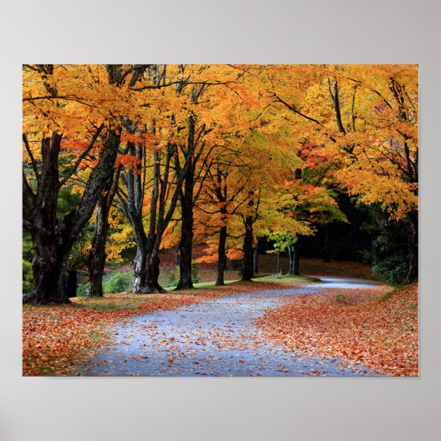 Poster Chemin d'automne (Devant)