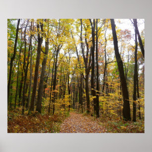 Poster Chemin d'automne et Feuilles d'or au parc Laurel H